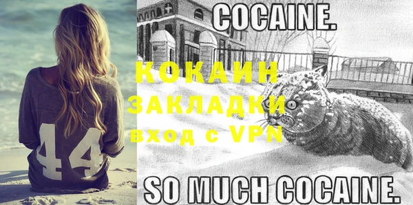 ECSTASY Кинешма