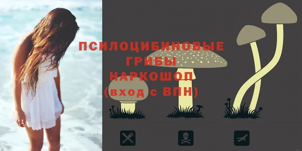 ECSTASY Кинешма