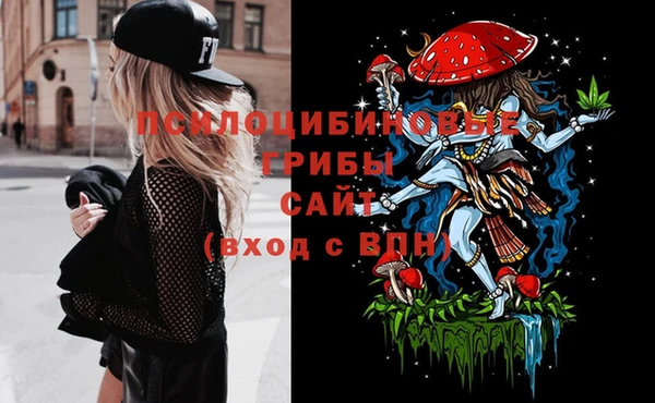 ECSTASY Кинешма