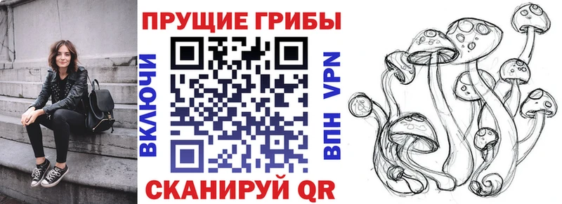 даркнет наркотические препараты  Курск  Галлюциногенные грибы мицелий  ссылка на мегу ONION 