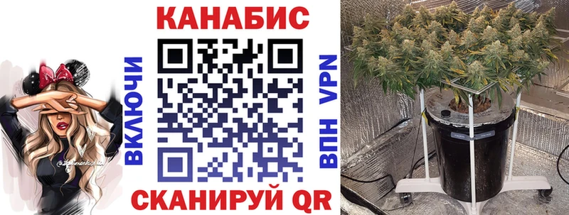 Бошки Шишки Bruce Banner  магазин продажи   Курск 